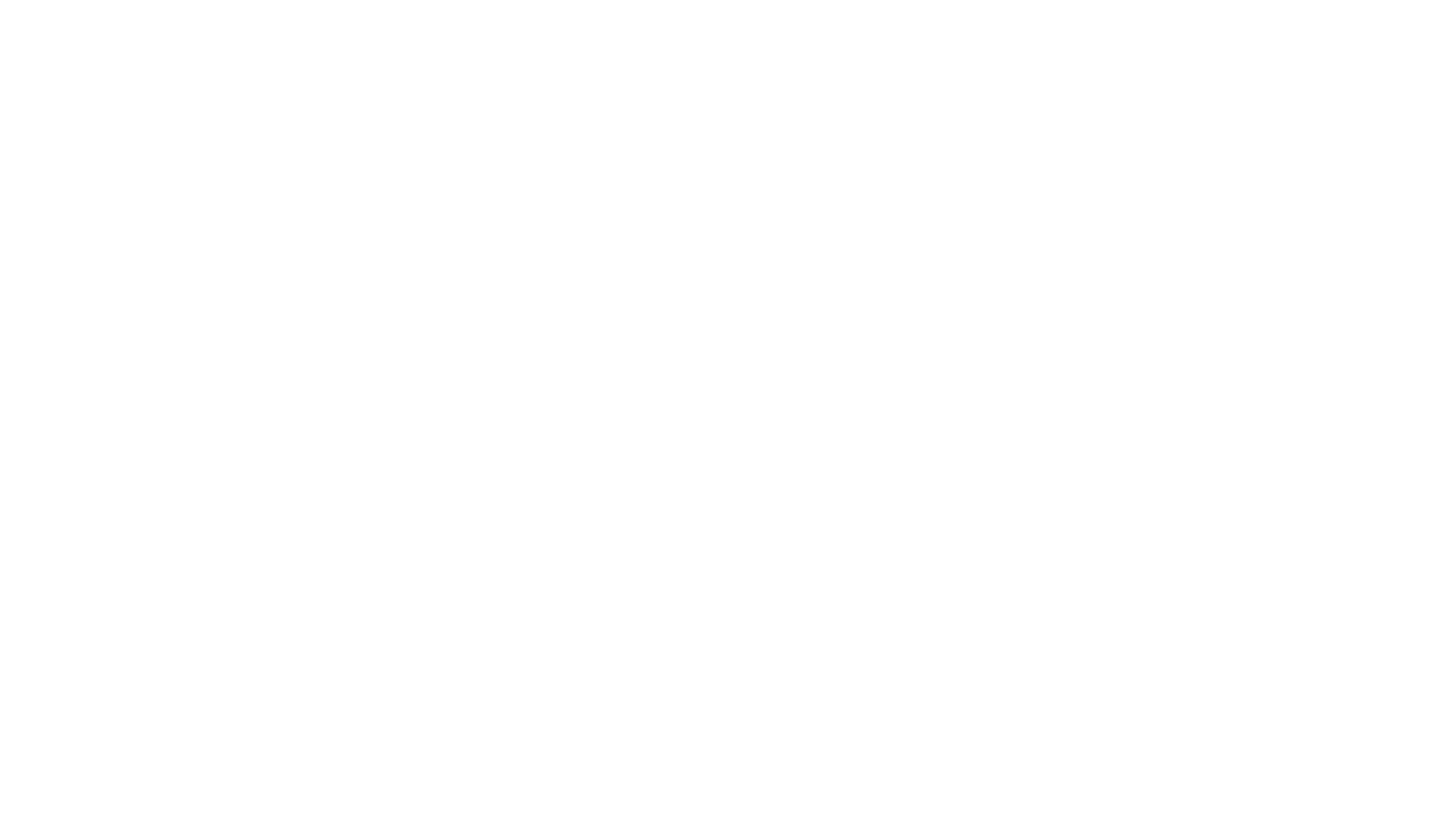 Logo IBN