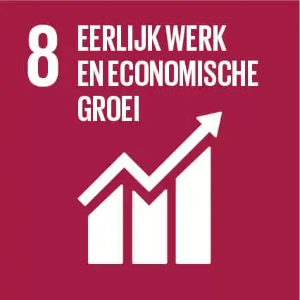 Logo Global Goal 8 Eerlijk werk en economische groei